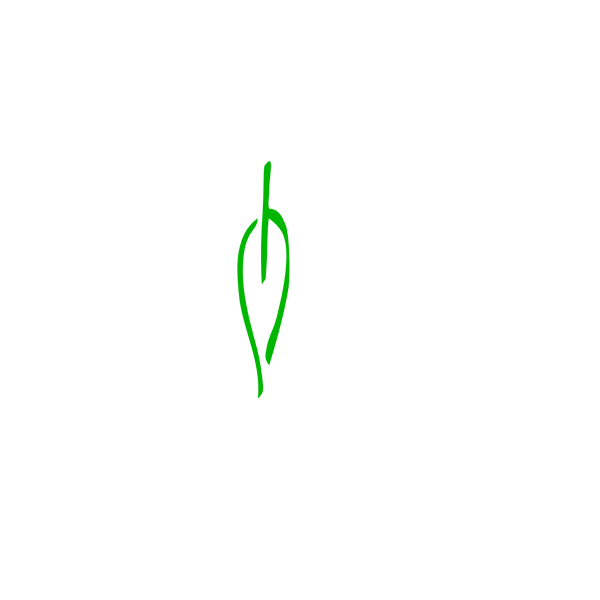 Logo de la fundación Circular
